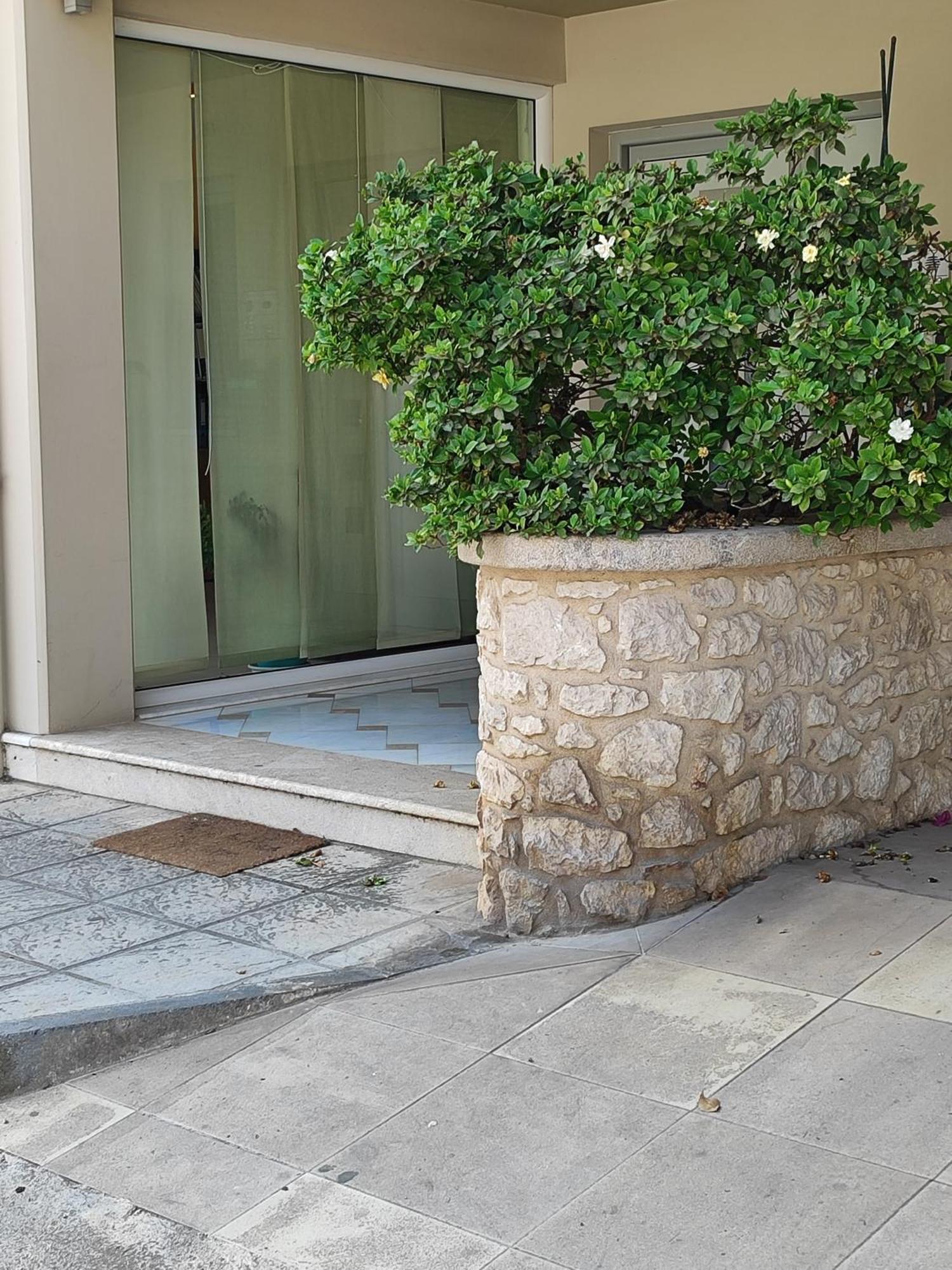 Apartment δροσια 1